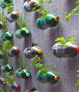 upcyclen fles naar verticale tuin