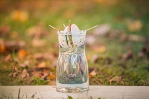 avocadopit ontkiemt in glas water tot avocadoboom