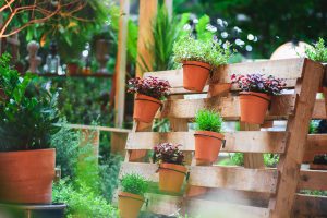 pallet met bloempotten en planten